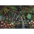 Kép 2/2 - Art & Fable Puzzle Company Microcosmic Garden 500 darabos kirakó