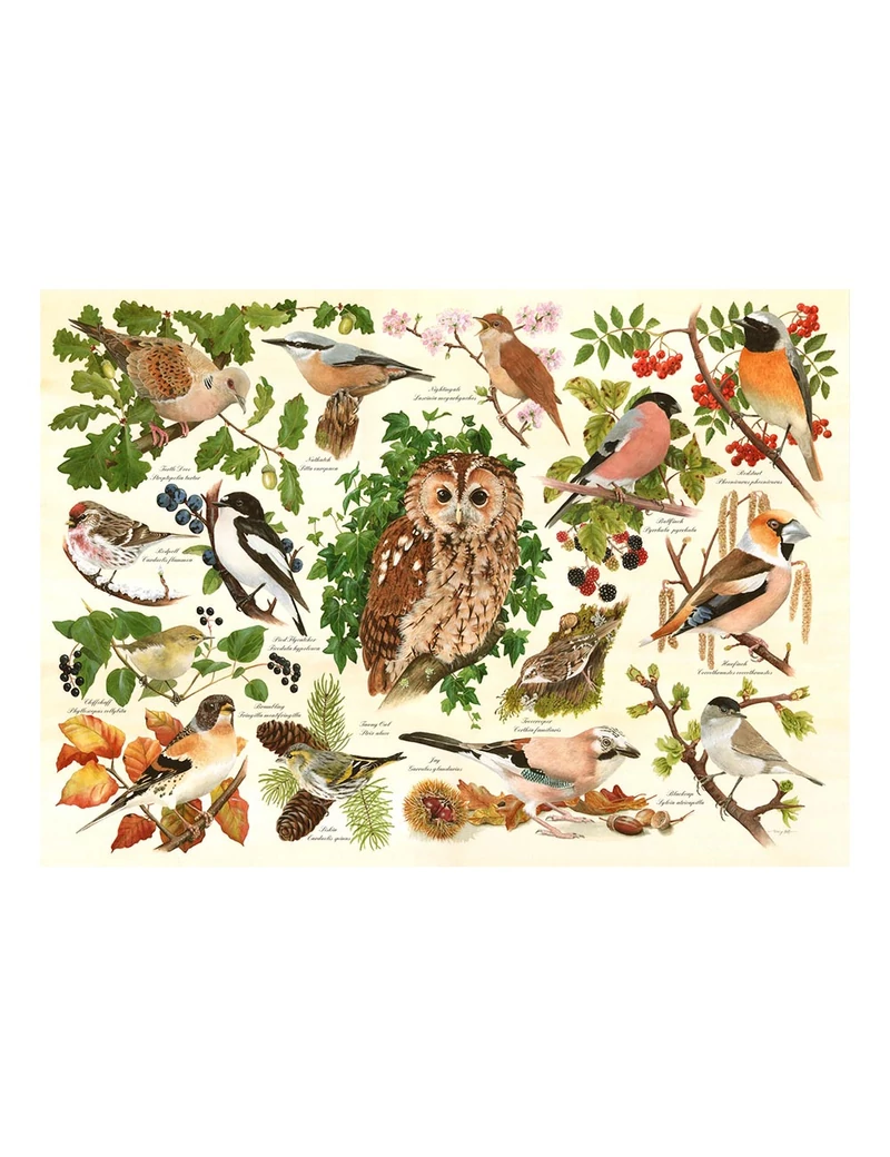 HOP Woodland Birds XXL 500 darabos kirakó