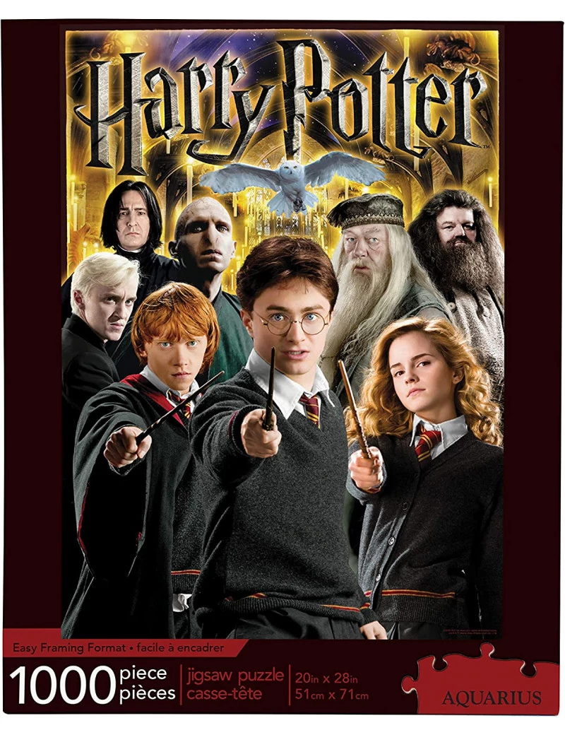 Aquarius Harry Potter Collage 1000 darabos kirakó