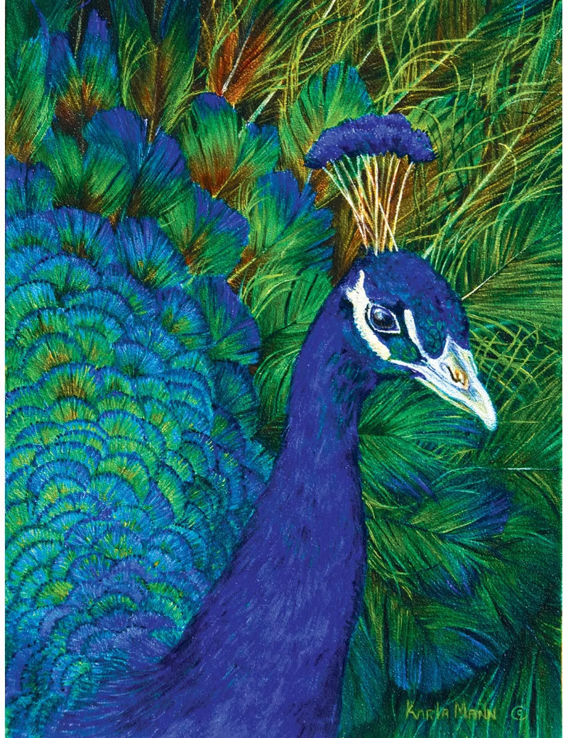 Sunsout Peacock 1000 darabos kirakó