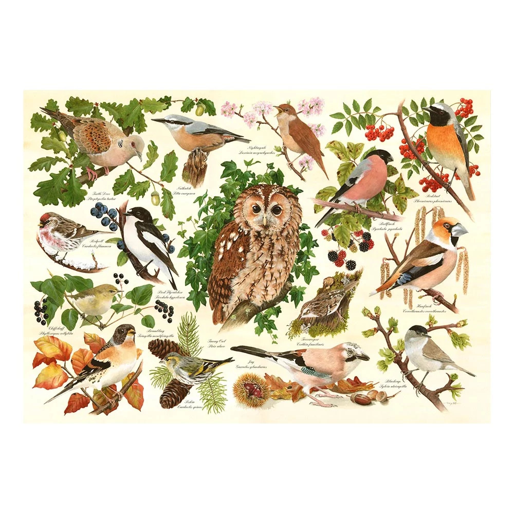 HOP Woodland Birds XXL 500 darabos kirakó